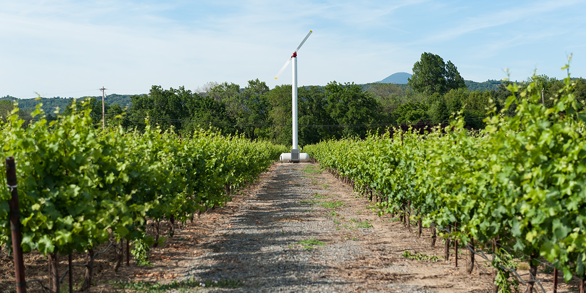 2022 Sauvignon Blanc - Dry Creek Vineyard