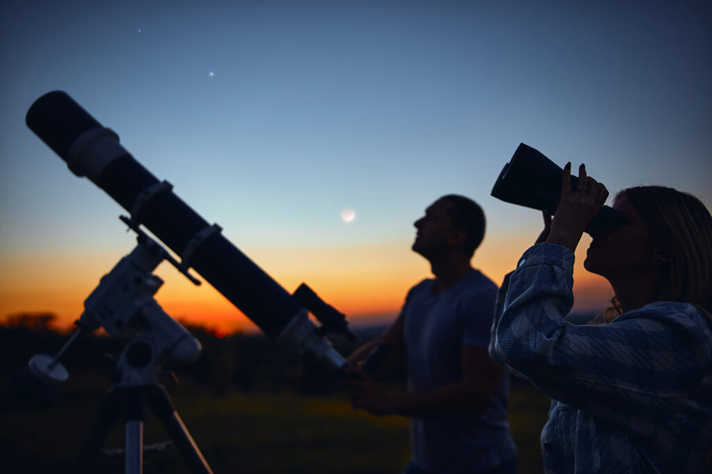 Stargazing in the vineyard